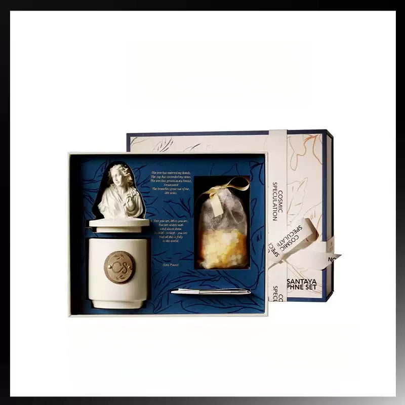 Luxury aromatherapy diffuser gift set for home fragrance and room decoration birthday gift